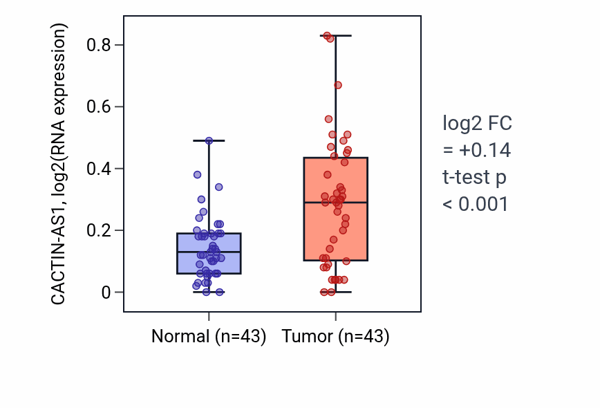Tumor-vs-normal expression box plot for CACTIN-AS1 in HNSC.