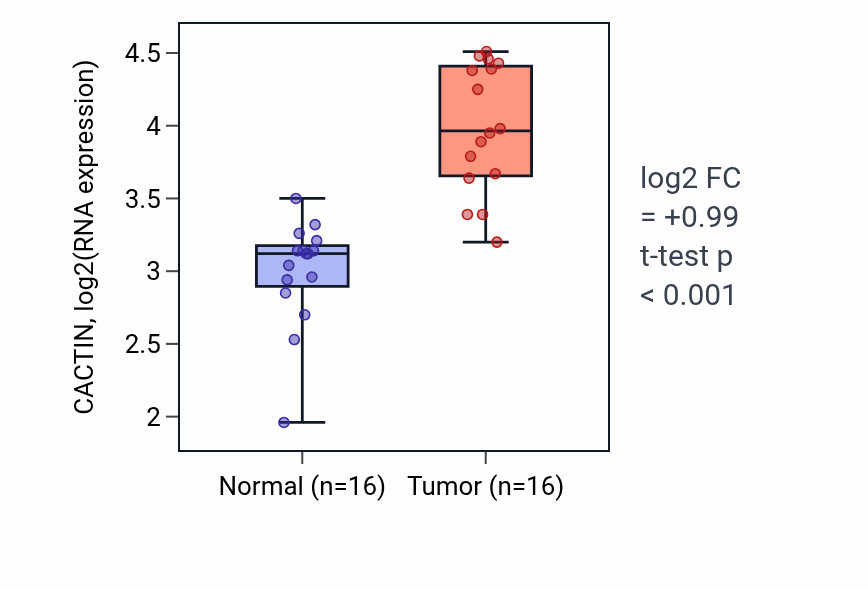 Tumor-vs-normal expression box plot for CACTIN in HNSC.