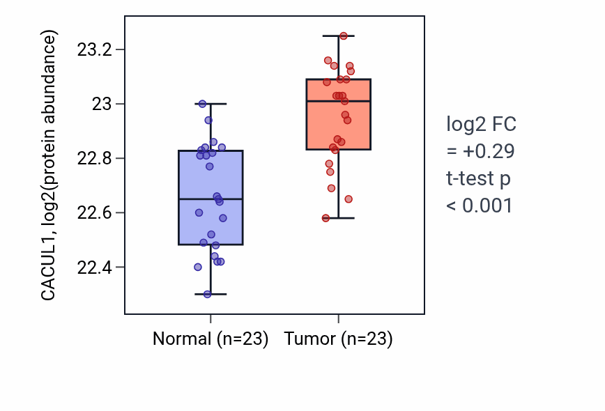 Tumor-vs-normal mass-spec protein box plot for CACUL1 in HNSC.