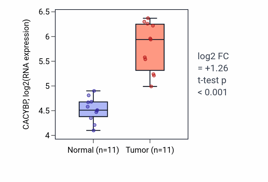 Tumor-vs-normal expression box plot for CACYBP in HNSC.