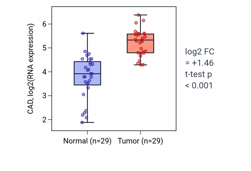 Tumor-vs-normal expression box plot for CAD in HNSC.