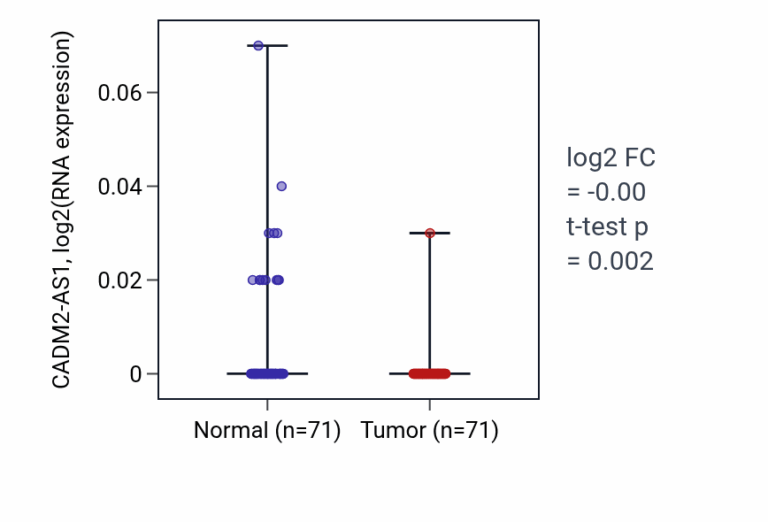 Tumor-vs-normal expression box plot for CADM2-AS1 in KIRC.
