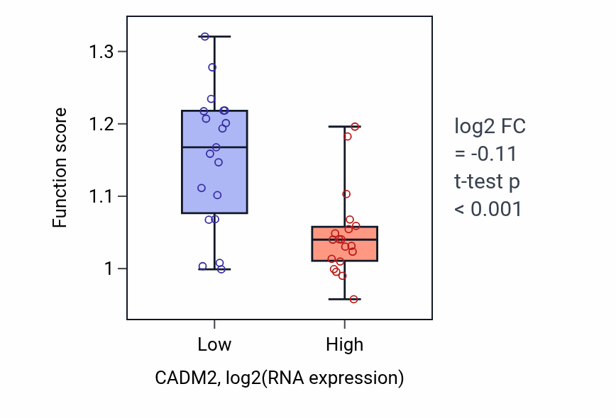 Box plot of Actin filament organization in CADM2-low vs CADM2-high samples in BONE.
