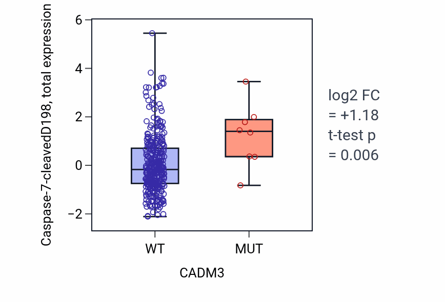 Box plot of Caspase-7-cleavedD198 in CADM3-low vs CADM3-high samples in COAD.