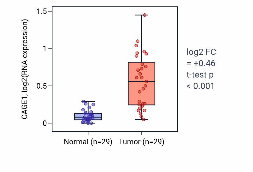 Tumor-vs-normal expression box plot for CAGE1 in HNSC.