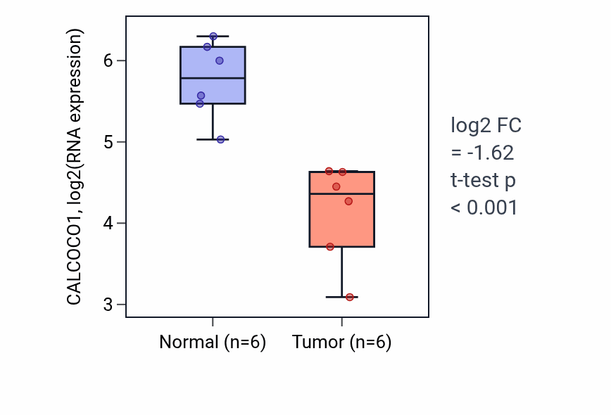 Tumor-vs-normal expression box plot for CALCOCO1 RNA in LUAD.