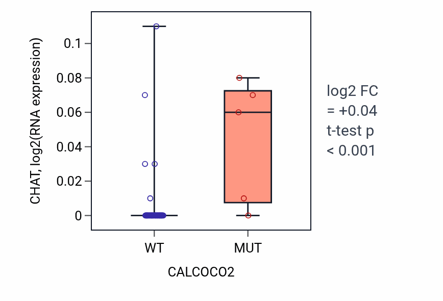 Box plot of CHAT in CALCOCO2-low vs CALCOCO2-high samples in LARGE_INTESTINE.