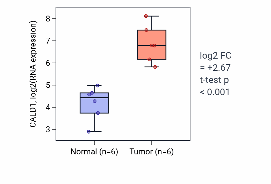 Tumor-vs-normal expression box plot for CALD1 in HNSC.