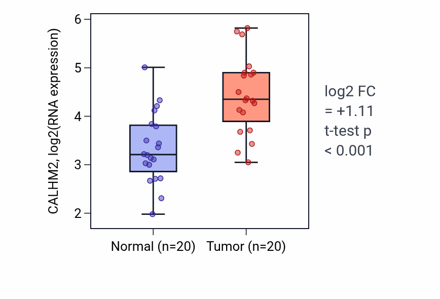 Tumor-vs-normal expression box plot for CALHM2 in KIRC.