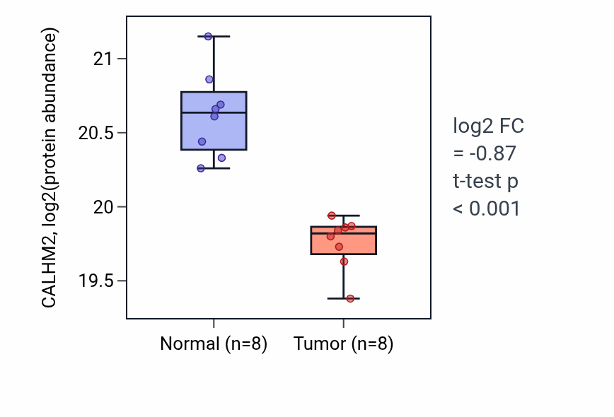 Tumor-vs-normal mass-spec protein box plot for CALHM2 in LSCC.