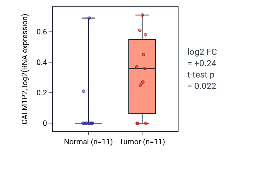 Tumor-vs-normal expression box plot for CALM1P2 in UCEC.