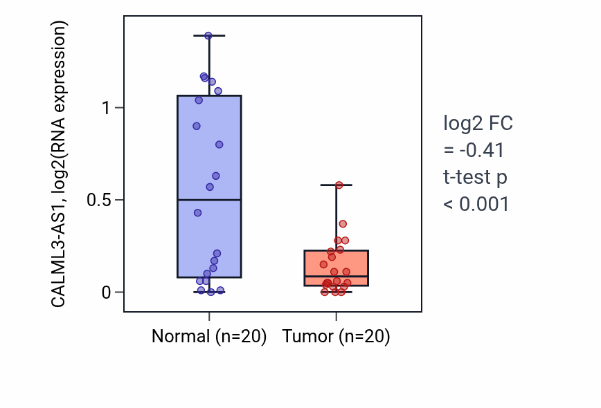 Tumor-vs-normal expression box plot for CALML3-AS1 in KIRC.