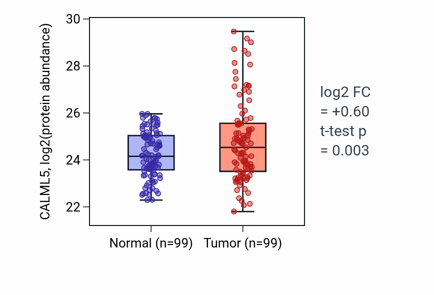 Tumor-vs-normal mass-spec protein box plot for CALML5 in LSCC.