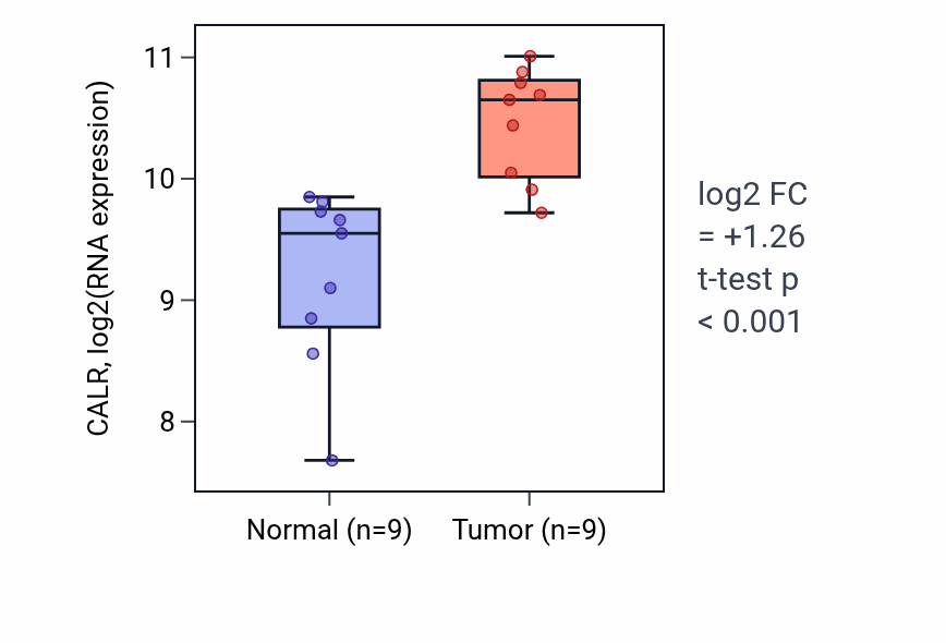 Tumor-vs-normal expression box plot for CALR in HNSC.