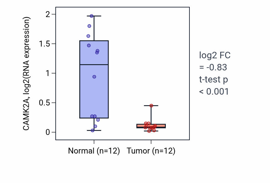 Tumor-vs-normal expression box plot for CAMK2A in KIRC.