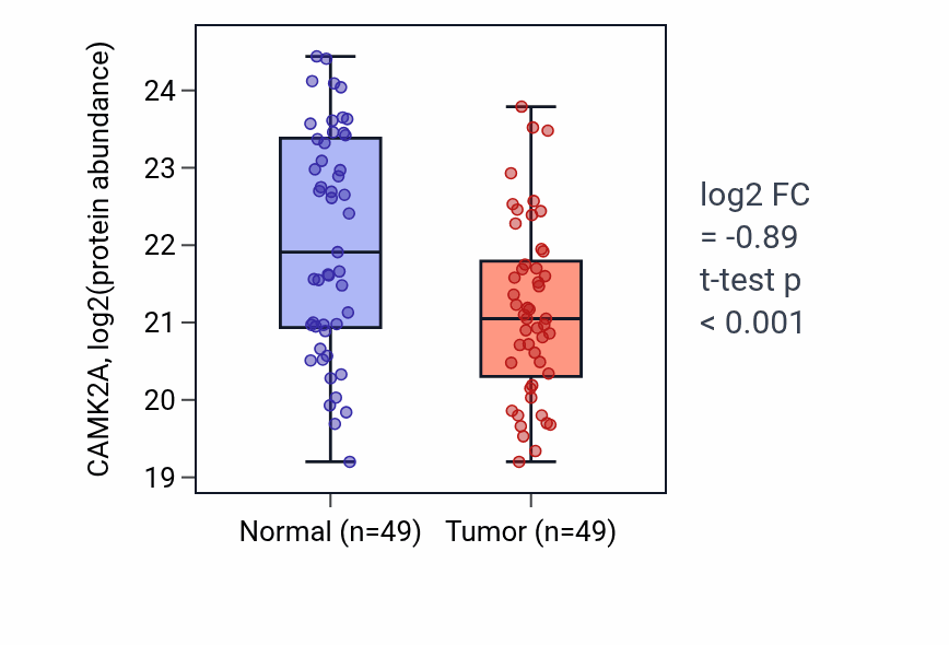 Tumor-vs-normal mass-spec protein box plot for CAMK2A in HNSC.