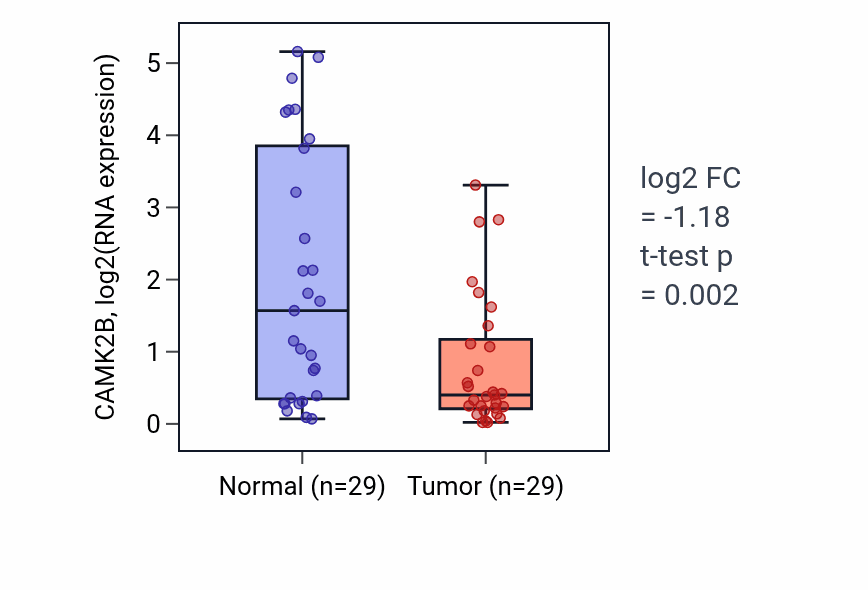 Tumor-vs-normal expression box plot for CAMK2B in HNSC.