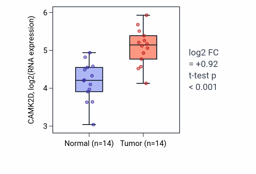 Tumor-vs-normal expression box plot for CAMK2D in HNSC.