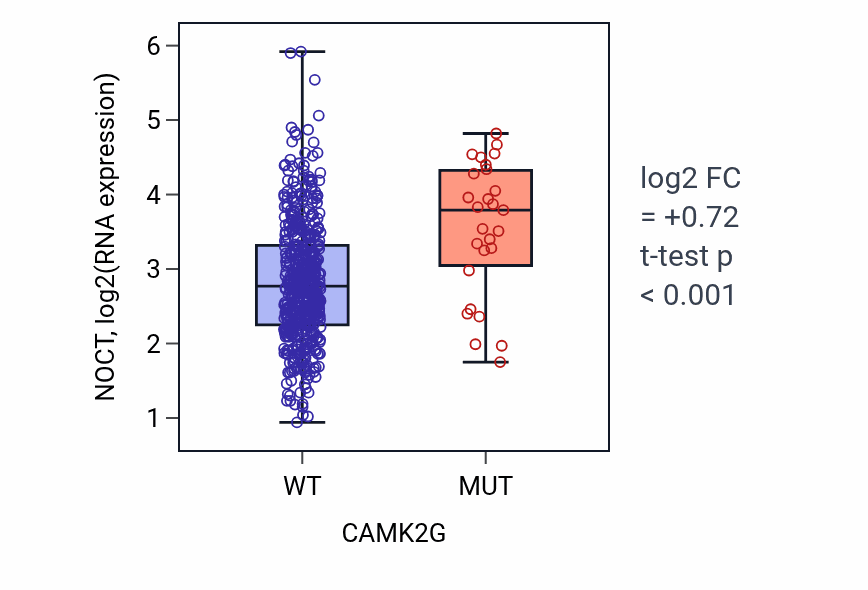 Box plot of NOCT in CAMK2G-low vs CAMK2G-high samples in UCEC.