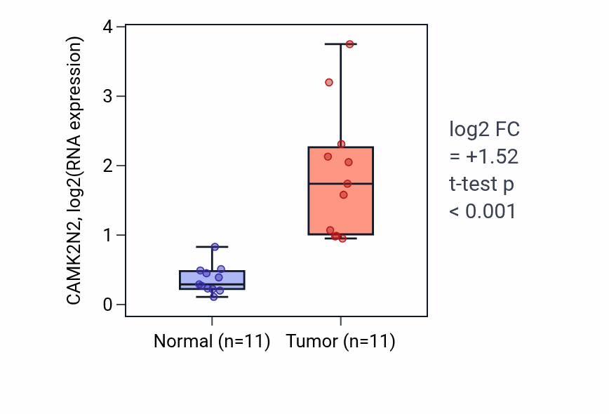 Tumor-vs-normal expression box plot for CAMK2N2 in HNSC.