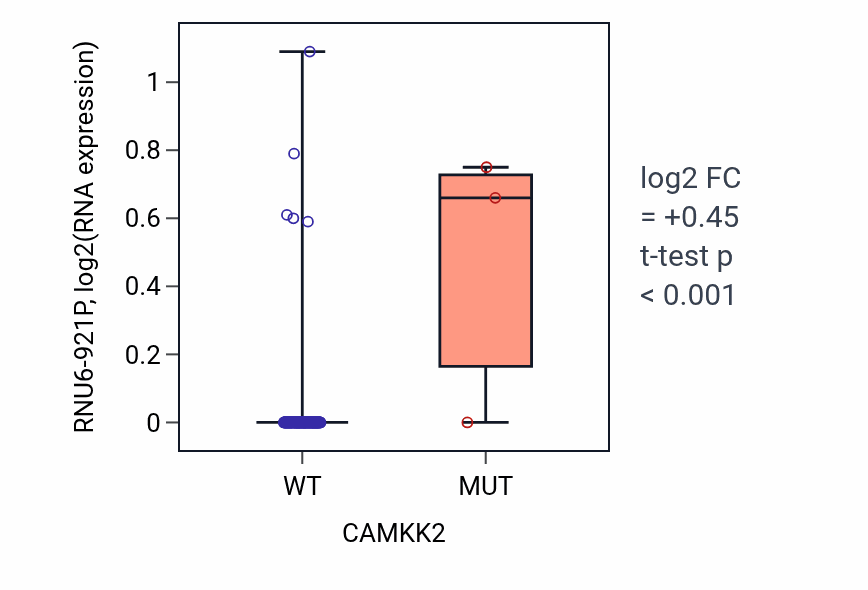 Box plot of RNU6-921P in CAMKK2-low vs CAMKK2-high samples in READ.