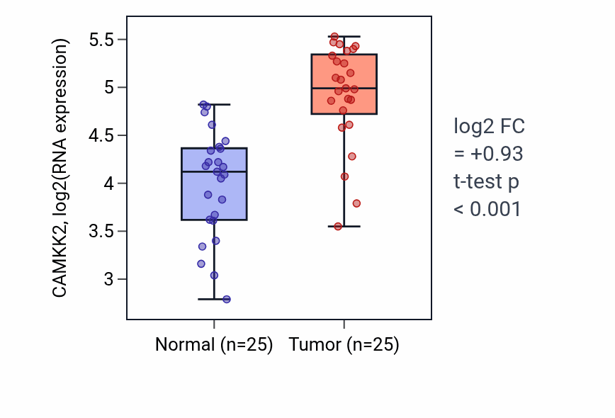 Tumor-vs-normal expression box plot for CAMKK2 in HNSC.