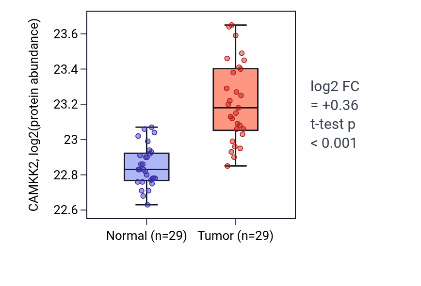 Tumor-vs-normal mass-spec protein box plot for CAMKK2 in CCRCC.