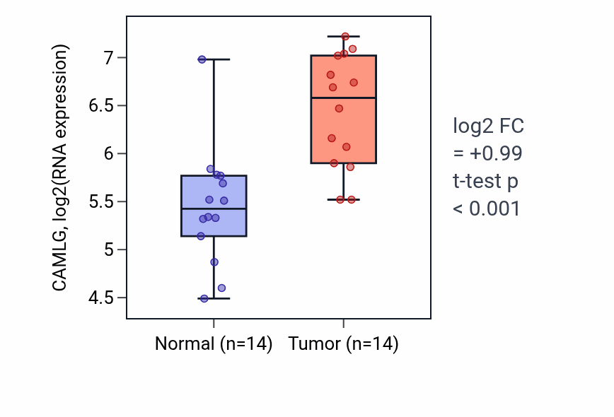 Tumor-vs-normal expression box plot for CAMLG in KIRC.