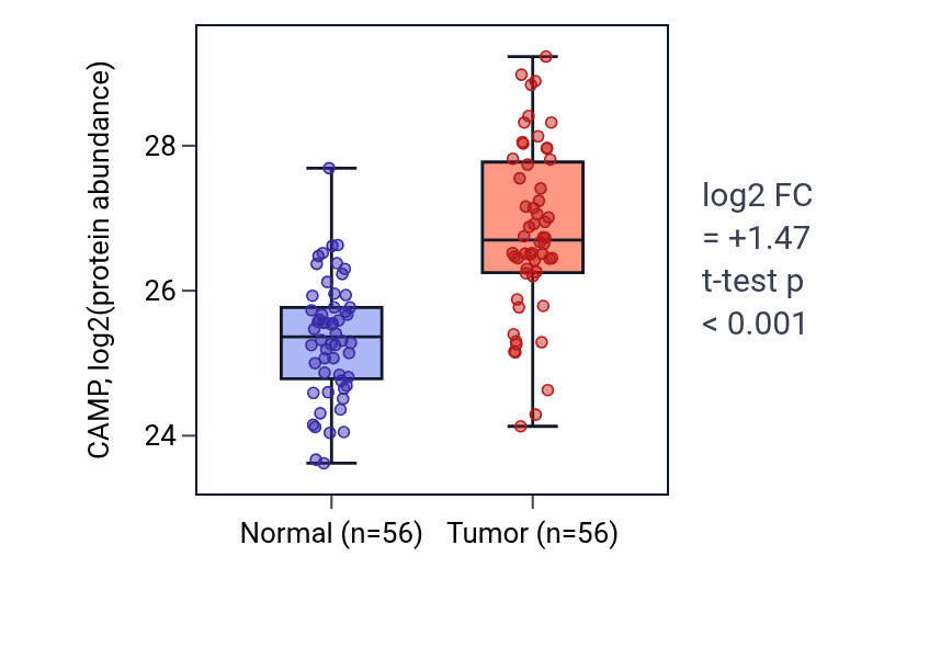 Tumor-vs-normal mass-spec protein box plot for CAMP in HNSC.