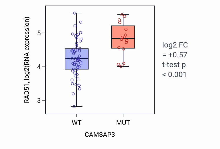 Box plot of RAD51 in CAMSAP3-low vs CAMSAP3-high samples in LARGE_INTESTINE.
