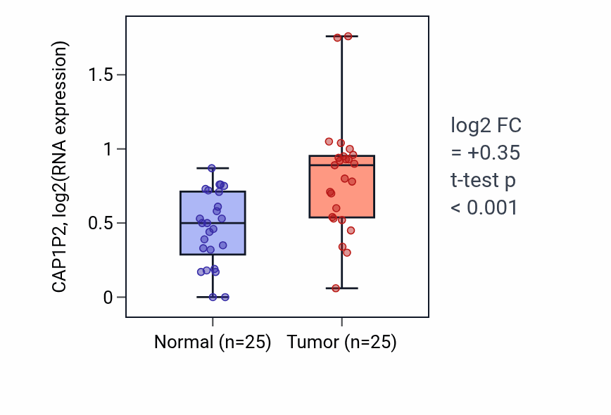 Tumor-vs-normal expression box plot for CAP1P2 in HNSC.