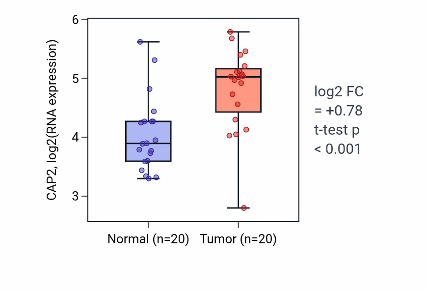 Tumor-vs-normal expression box plot for CAP2 in KIRC.