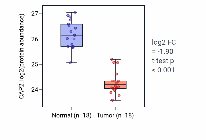 Tumor-vs-normal mass-spec protein box plot for CAP2 in COAD.