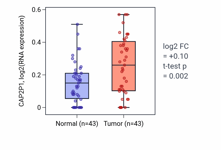 Tumor-vs-normal expression box plot for CAP2P1 in HNSC.