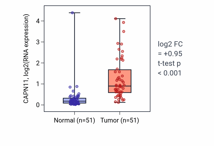 Tumor-vs-normal expression box plot for CAPN11 in KIRC.