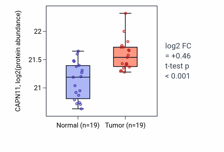 Tumor-vs-normal mass-spec protein box plot for CAPN11 in HNSC.