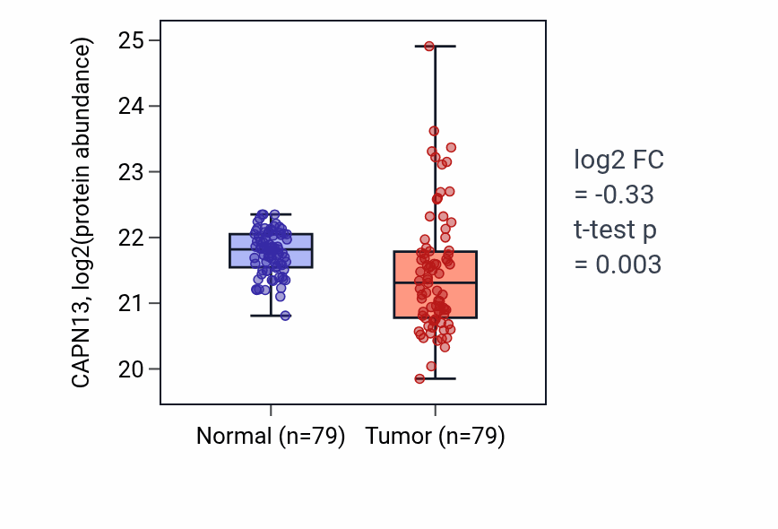 Tumor-vs-normal mass-spec protein box plot for CAPN13 in LSCC.
