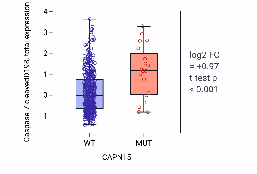 Box plot of Caspase-7-cleavedD198 in CAPN15-low vs CAPN15-high samples in UCEC.