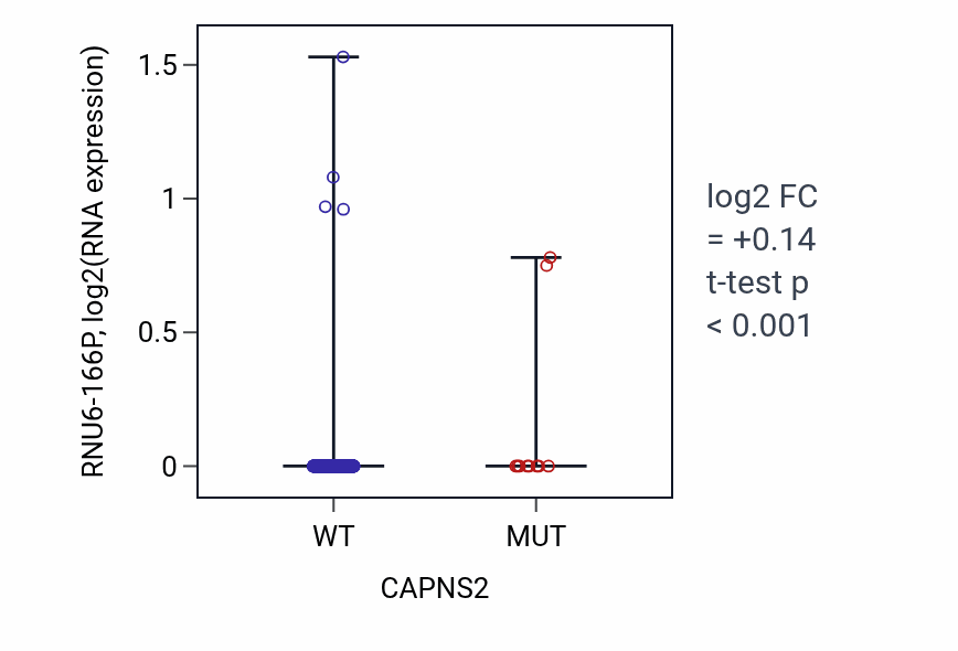 Box plot of RNU6-166P in CAPNS2-low vs CAPNS2-high samples in UCEC.