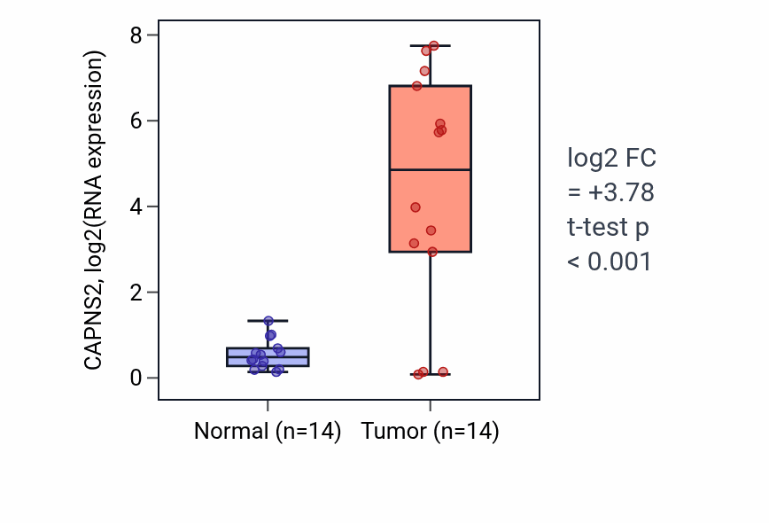 Tumor-vs-normal expression box plot for CAPNS2 RNA in LUSC.