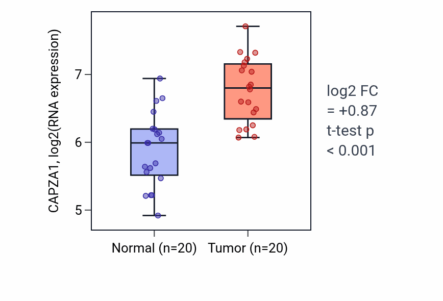 Tumor-vs-normal expression box plot for CAPZA1 in KIRC.