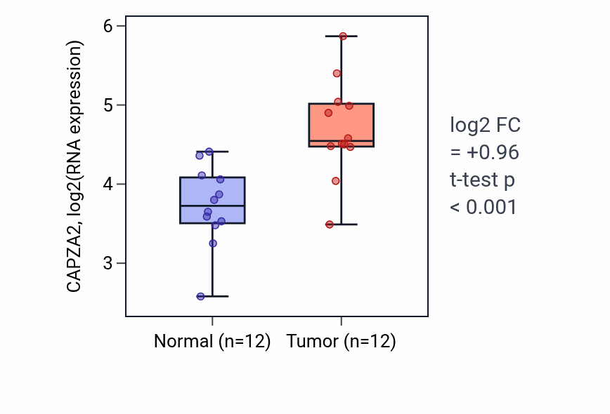 Tumor-vs-normal expression box plot for CAPZA2 in LIHC.