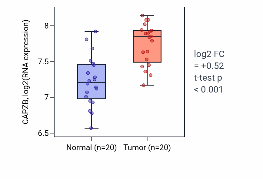 Tumor-vs-normal expression box plot for CAPZB in KIRC.