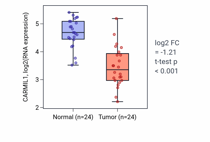 Tumor-vs-normal expression box plot for CARMIL1 in KIRC.