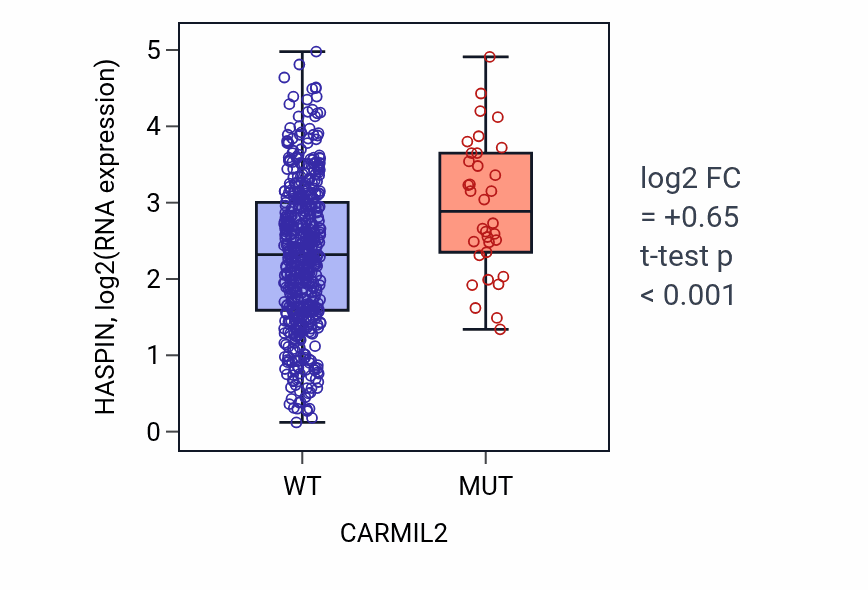 Box plot of HASPIN in CARMIL2-low vs CARMIL2-high samples in UCEC.