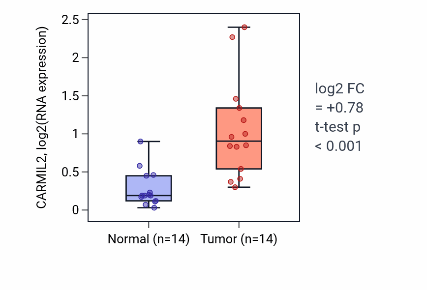 Tumor-vs-normal expression box plot for CARMIL2 in KIRC.