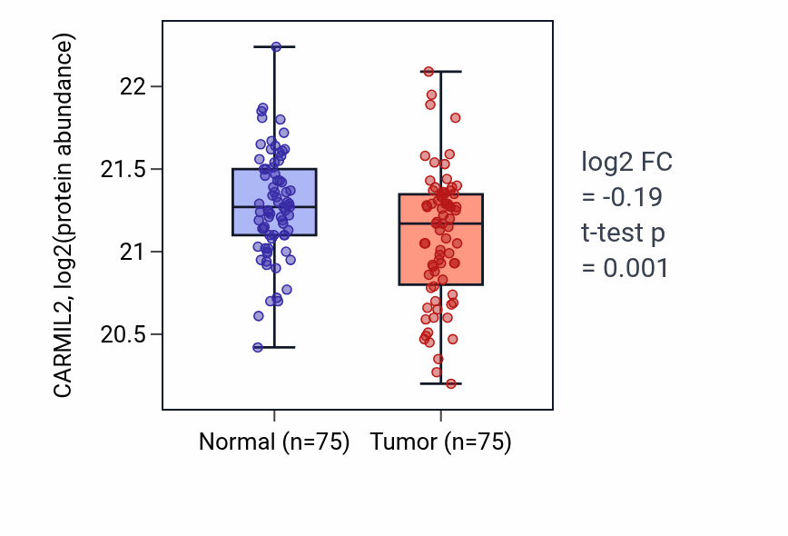 Tumor-vs-normal mass-spec protein box plot for CARMIL2 in LSCC.