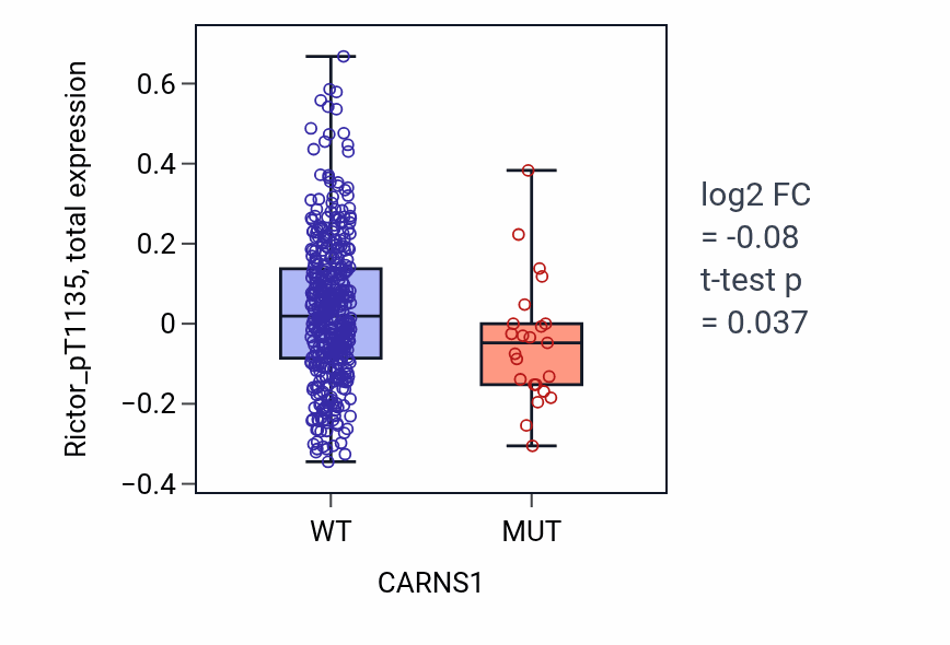 Box plot of Rictor_pT1135 in CARNS1-low vs CARNS1-high samples in UCEC.