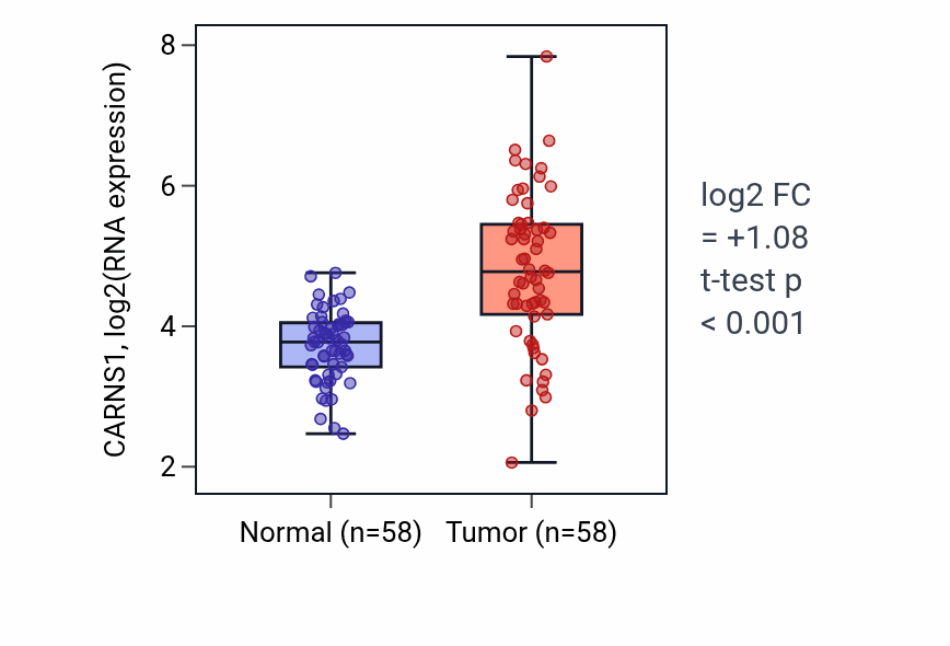 Tumor-vs-normal expression box plot for CARNS1 in THCA.