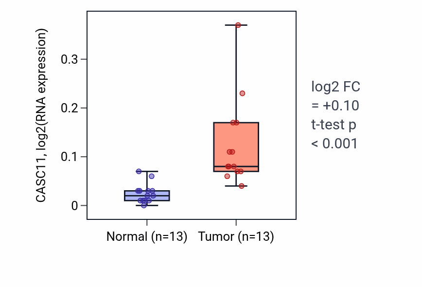 Tumor-vs-normal expression box plot for CASC11 in KIRC.